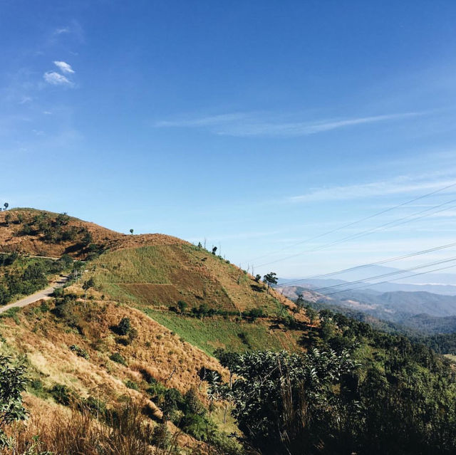 สวนป่าดอยบ่อหลวง | เชียงใหม่