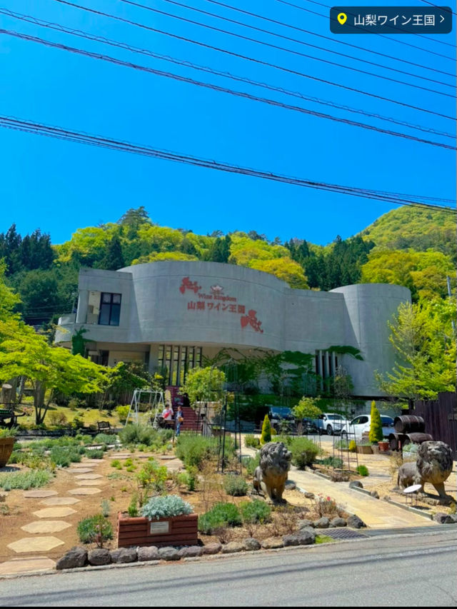 【日帰り】忙しい人でも行けちゃう🎶グルメ！観光！体験！全部楽しめる山梨満喫プラン🥳💞【弾丸旅行】