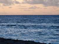 馬爾地夫🇲🇻居民小島體驗——Fulidhoo 島遊記