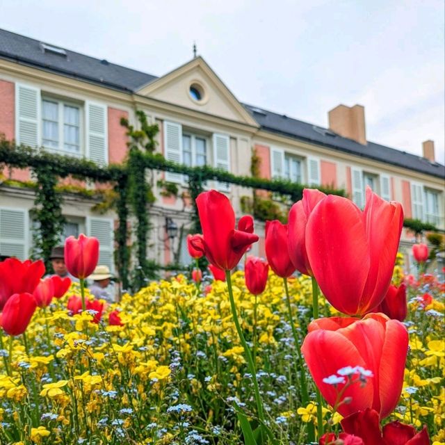 極上の花畑🌷はままつフラワーパーク