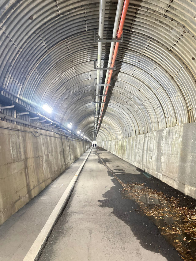 【静岡県】世界が認めた‼️秘境にある絶景吊り橋✨