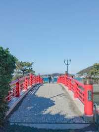 【葉山観光スポット】森戸大明神で海フォト&おみくじで良運祈願