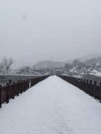 눈으로 뒤덮인 서울근교 드라이브+산책로 추천❄️