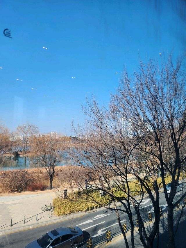 🧡대구 수성못을 바라보며 커피한잔 할 수 있는, "스타벅스 수성레이크점"🧡