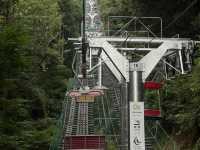 Escape to Nature: A Day Hike to Mount Takao from Tokyo