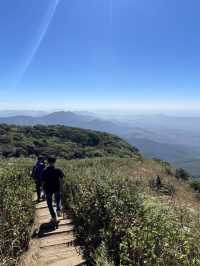 Lost in the beauty of Chaing Mai