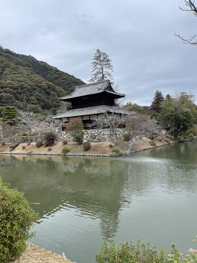 山口｜屹立逾350年 全木頭打造「不會倒的橋」岩國錦帶橋