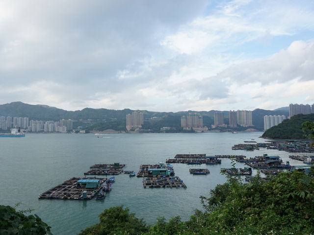 Ma Wan: A Serene Island Retreat Just Minutes from Hong Kong