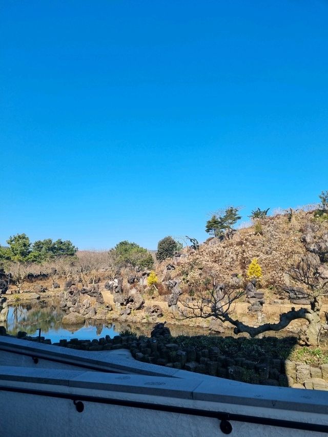 제주도에서 꼭 가봐야할 스타벅스☕️