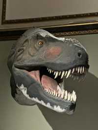 Unveil the Wonders of the Natural World at Vienna’s Natural History Museum
