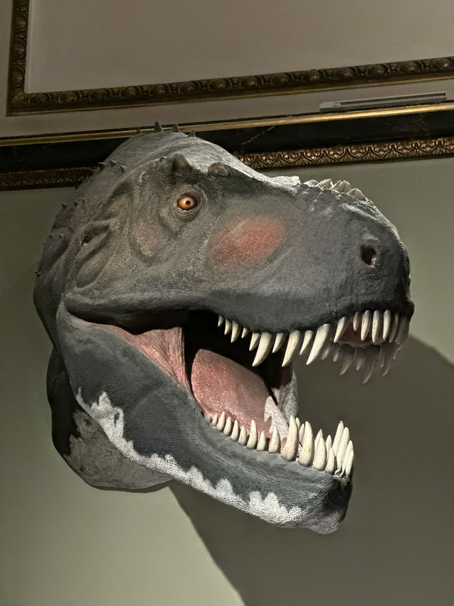 Unveil the Wonders of the Natural World at Vienna’s Natural History Museum