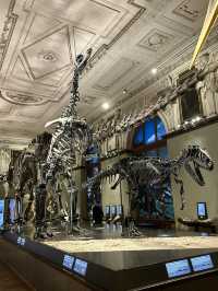 Step Back in Time: Explore the Dinosaurs of Vienna’s Natural History Museum