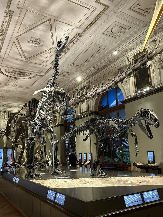 Step Back in Time: Explore the Dinosaurs of Vienna’s Natural History Museum