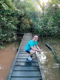 Discover Borneo Rainforest At Rasa Ria Reserve  