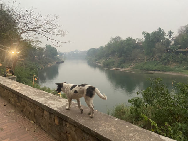 🇱🇦 世界遺産都市まで一泊2日の舟旅in Laos