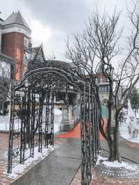 2 Days in Sapporo: A Winter Wonderland Adventure