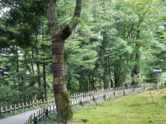 Kenroku-en: A Zen Escape into Japan’s Timeless Beauty