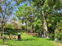Rumpaipensri Cafe