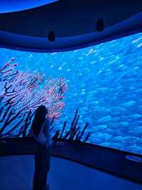 พิพิธภัณฑ์สัตว์น้ำ ราชมงคลตรัง 🐟🐠