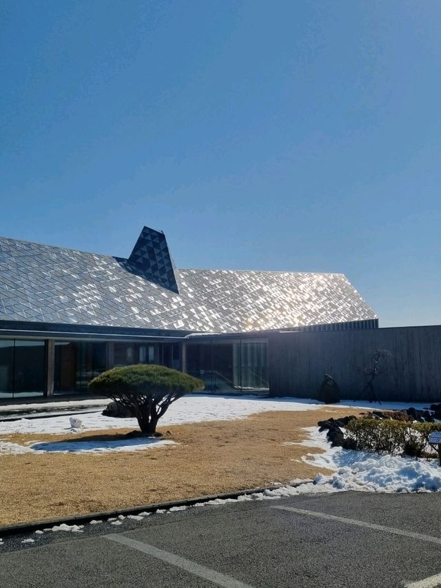 노아의 방주를 모티브로한 방주교회⛪️