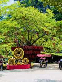 “Qing Xin Ling: Where Nature’s Beauty Meets Cultural Charm”
