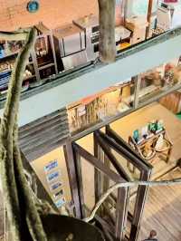 “Pinto Coffee: Sip & Relax Amidst Janda Baik’s Enchanting Roots”
