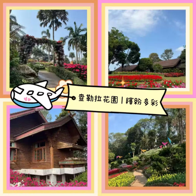 ～微微閃耀～查勒拉花園～
