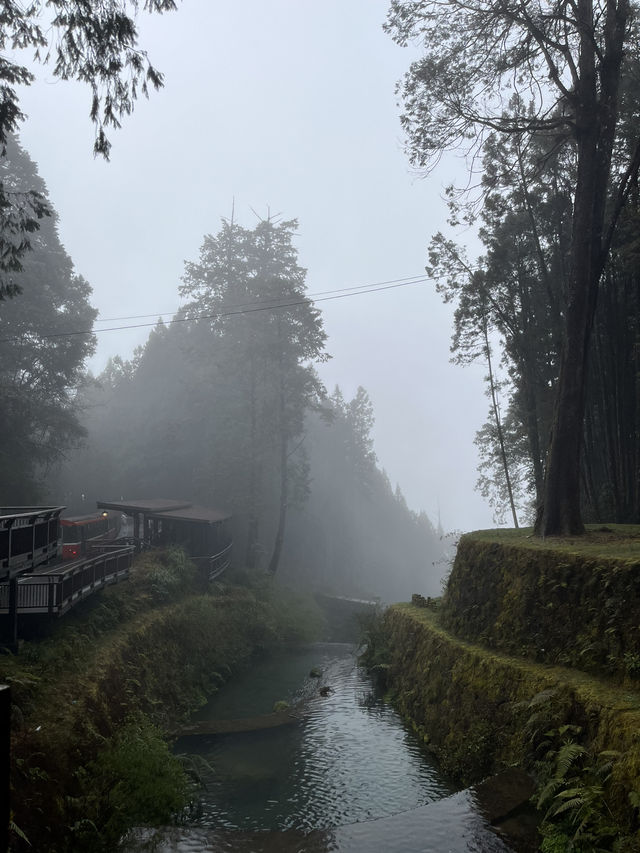 ALISHAN 🚂 ☁️ 