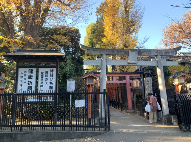 上野一日散策！　寛永寺