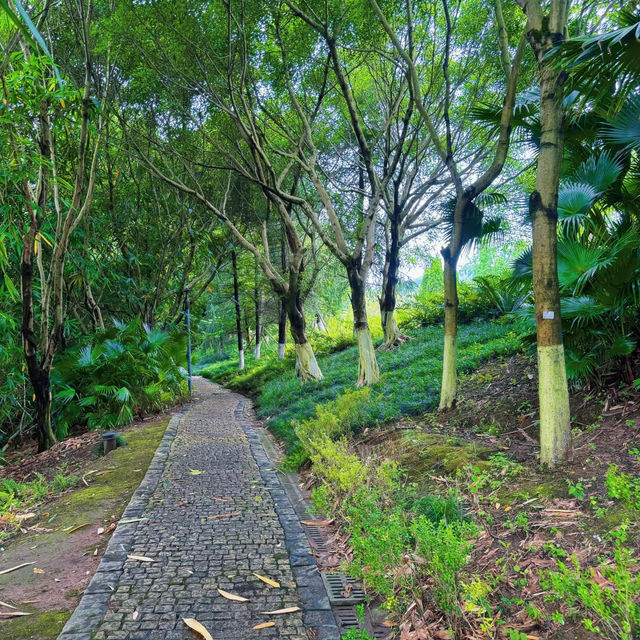 大自然的懷抱 | 樓村濕地公園