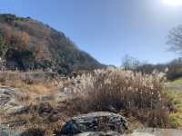 【埼玉・長瀞】自然美に癒される旅⛰️  長瀞といえば、美しい岩畳と荒川の清流が織りなす絶景✨ 川を下る「ライン下り」は、