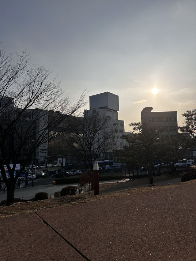 동대문역의 도심속 너무나도 조용한 쉼터 흥인지문공원🇰🇷