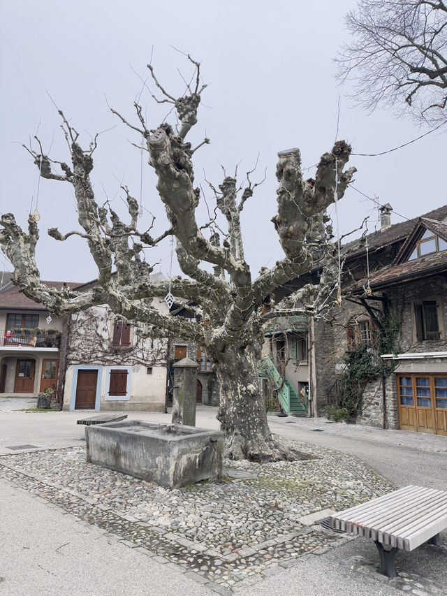 很美的法國鮮花小鎮伊瓦爾Yvoire