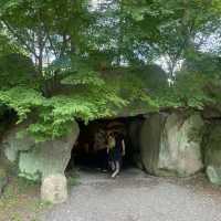 日本一大きなわさび農場『大王わさび農場』