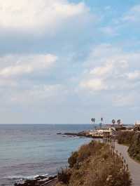 Jeju's Coastal Beauty 🖤💙
