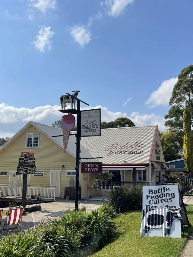 A Coastal Escape to Narooma
