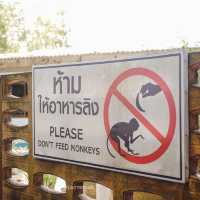 กินหอยใหญ่ที่สุราษฎร์กัน