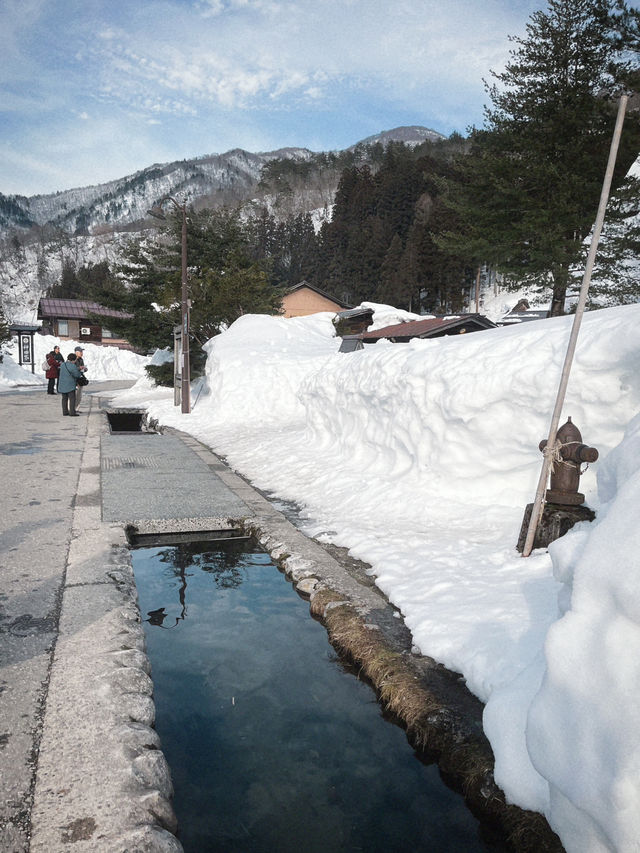 인생에서 꼭 한번 가봐야 할 겨울 여행지❄️