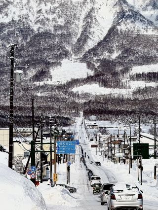 🌿 真狩村 —— 北海道的純淨秘境 🌿