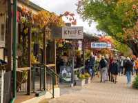 Hahndorf (German village) 