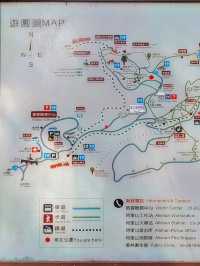 阿里山國家森林遊樂區巨木群棧道 
