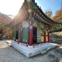 Naejangsan National Park