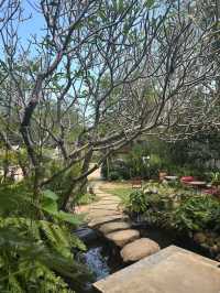 Koh Samui - Baannairai Farm and Cafe
