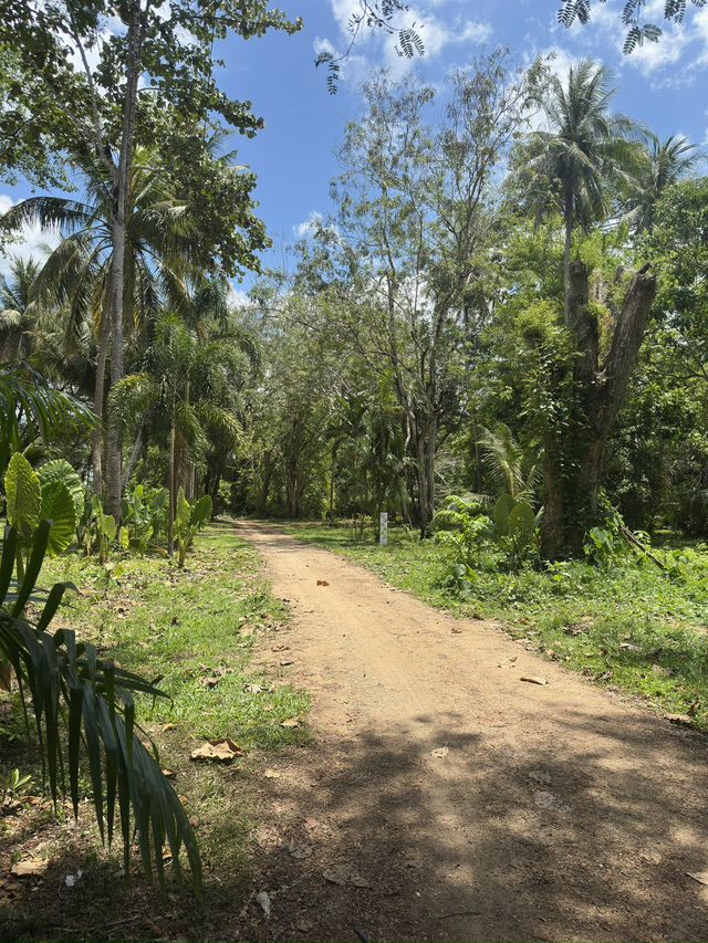 Beautiful wildlife sanctuary 