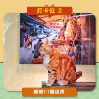 🇭🇰中環站《同萌社區》貓店長🐱攝影展📷打卡攻略