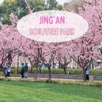 ดอกซากุระ​บานที่​   Jing'an Sculpture Park