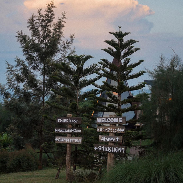 ฤดูภูเขา • เชียงดาว, เชียงใหม่ 🌳🌷🛖⛺️✨