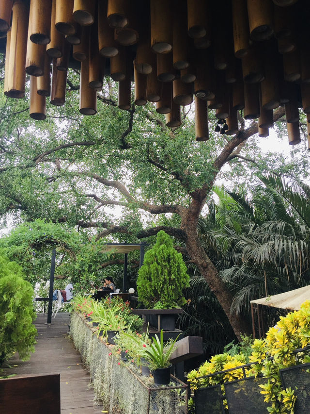 หนีเมืองมาสูดอากาศบริสุทธิ์ที่ Bangkok Tree House