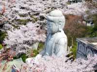【奈良県】日本でもここだけ！桜大仏を拝める「壷阪寺」