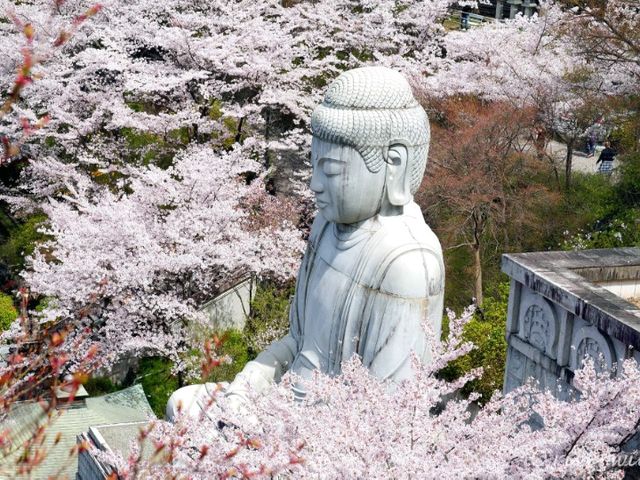 【奈良県】日本でもここだけ！桜大仏を拝める「壷阪寺」